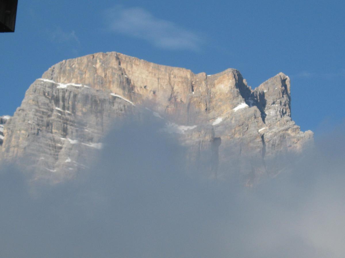 Hotel Albergo Dolomiti San Vito di Cadore Ngoại thất bức ảnh
