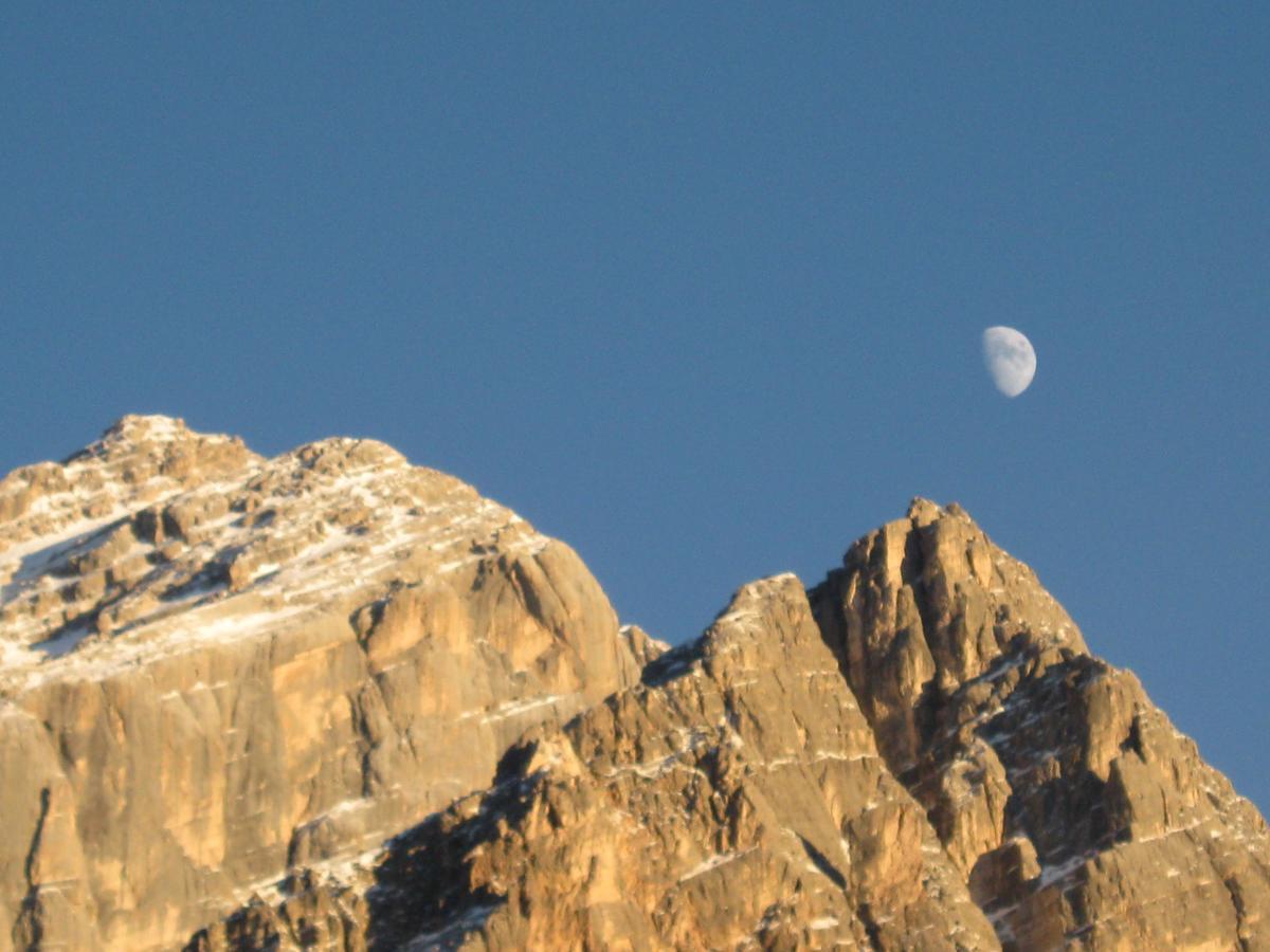 Hotel Albergo Dolomiti San Vito di Cadore Ngoại thất bức ảnh